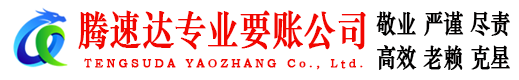 山东腾速达清债公司